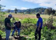 Dukung Program Pemerintah, Diskominfo Bersama Wartawan Tanam Bibit Buah di Halaman Kantor Bupati Bolmong