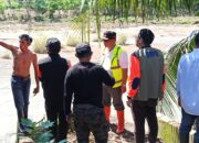 BNPB Tinjau Lokasi Banjir di Poigar, Pastikan Penanganan Cepat dan Tepat Sasaran