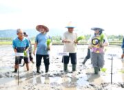 YSK Tanam Padi di Bolmong, Tegaskan Komitmen Swasembada Pangan